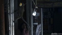 Diduga kawanan monyet tersebut kelaparan sehingga turun dan mencari makanan.