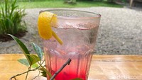 Pada Sparkling Pala, minuman ini lebih menyegarkan. Selain karena disajikan dingin, penggunaan soda juga jadi kuncinya.