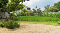 Dapoer Kebun berlokasi di Jl. Cendrawasih 1 Nomor 59, Sawah Baru. Nuansa kebun dan sawah yang asri bakal menyambut tamu di tempat makan yang lokasinya ngumpet di dalam gang ini.