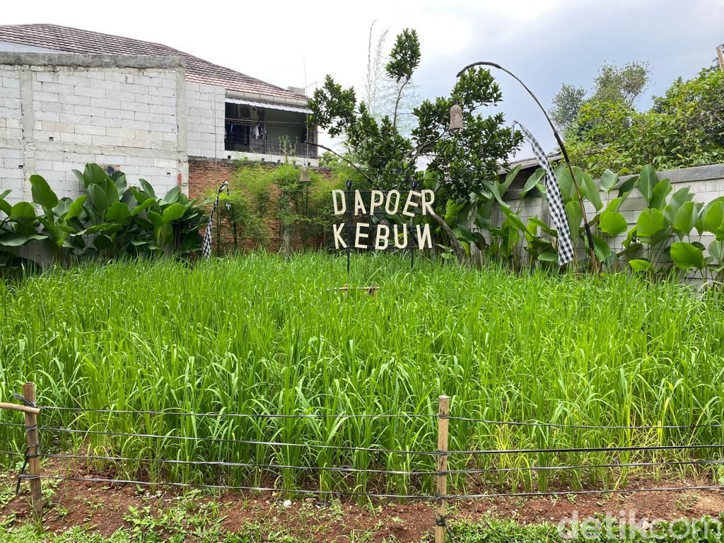 Dapoer Kebun: Cicip Ayam Sambal Matah hingga Kopi Pala di Resto 'Rasa' Bali
