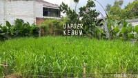 Tak sekadar kebun, Dapoer Kebun membawa nuansa Bali ke Bintaro. Area sawah mungil pun dibuat di bagian pojok restoran. Hal ini membuat kamu serasa makan di tengah-tengah sawah yang ada di Ubud!