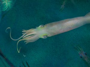 Udang sampai Kepiting Bisa Rasakan Emosi, Begini Penjelasannya