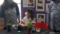 Minatnya di bidang sains, membuat Gempi berkreasi dengan tumbuh-tumbuhan. Foto: Nikita Rosa Damayanti Waluyo/detikEdu.