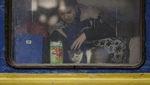 Hewan Peliharaan Ikut Ngungsi Gegara Perang Rusia-Ukraina