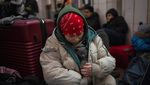 Hewan Peliharaan Ikut Ngungsi Gegara Perang Rusia-Ukraina
