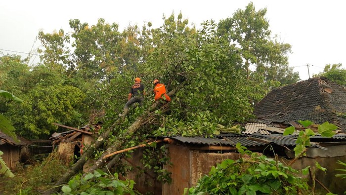 Hujan deras dan angin kencang merusak lebih dari 150 rumah di Paliyan, Gunungkidul, Jumat (11/3/2022).