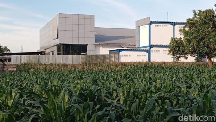 PT Kosmetika Global Printing and Packaging (MS Glow Group)