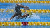 Seleksi tersebut diikuti para perenang Pelatnas dan perenang non Pelatnas untuk menentukan wakil Indonesia dalam SEA Games 2022 Vietnam.