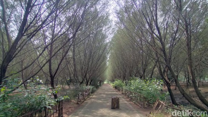 Melepas penat di Tahura Pakal Surabaya