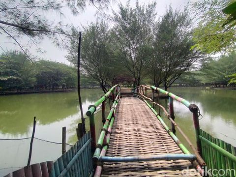 Melepas penat di Tahura Pakal Surabaya
