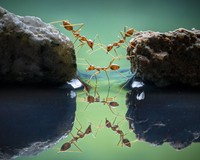 World Nature Photography Awards