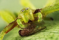 World Nature Photography Awards