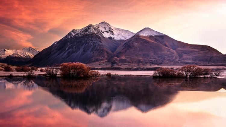 World Nature Photography Awards