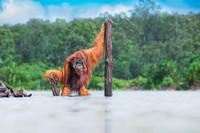 World Nature Photography Awards