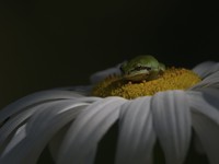 World Nature Photography Awards