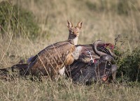 World Nature Photography Awards