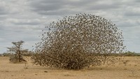 World Nature Photography Awards
