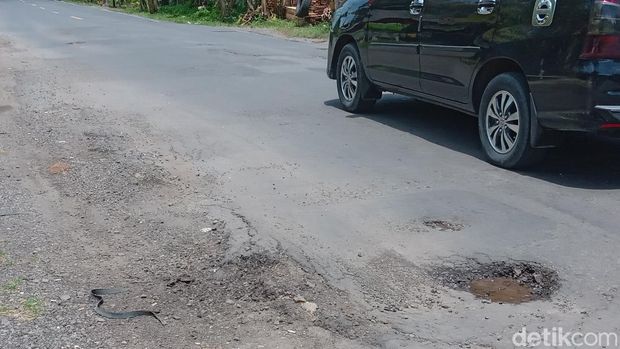 Jalan berlubang ditemukan pada sejumlah titik di ruas jalan nasional Cijulang-Pangandaran.