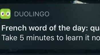 Kira-kira ada yang bisa mengartikan? Foto: Reddit via Boredpanda