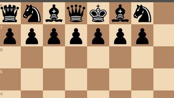 Pion caturnya hilang. Foto: Reddit via Boredpanda