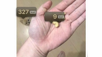 Duh ada yang salah memindai. Foto: Reddit via Boredpanda