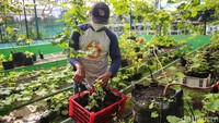 Berdiri sejak 27 Desember 2019, KAT telah memiliki sebanyak 200-an anggota.