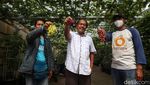 Komunitas KAT Sulap Lahan Kosong Jadi Kebun Anggur