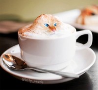Kucing photoshop