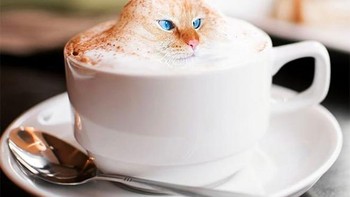 Jadi foam kopi. Foto: Instagram/koty_vezde