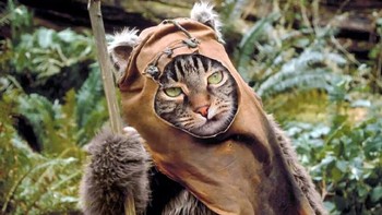 Menjadi Ewok di film Star Wars. Foto: Instagram/koty_vezde