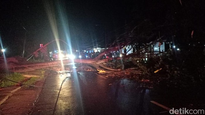 Pohon tumbang di ruas jalan Tanjungsari, Sumedang