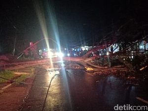 Pemotor Tewas Tertimpa Pohon Tumbang di Tanjungsari