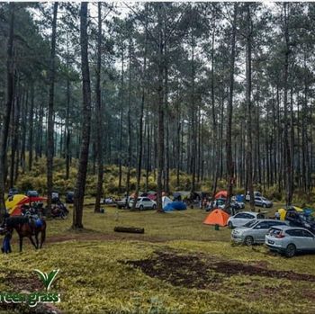Tempat camping di Lembang