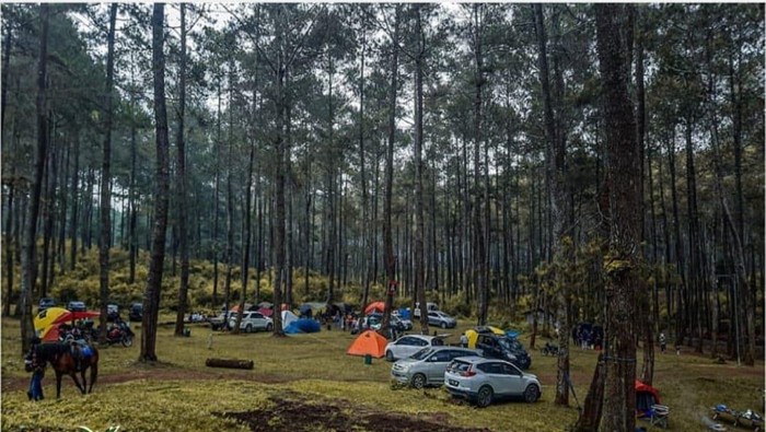 Tempat camping di Lembang