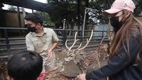 Tiara Andini pernah berkunjung ke rumah Alshad Ahmad untuk membuat konten YouTube. Foto: Instagram
