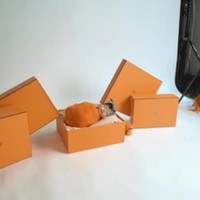 Terlahir sebagai anak dari salah satu seleb Indonesia yang bergelimang harta, tak heran jika sejak bayi pun baby Ameena sudah dikelilingi dengan barang-barang mewah. Seperti dalam salah satu pemotretannya itu, baby Ameena tampak tidur di atas kotak tas branded. Tampak menggemaskan bukan? Foto: YouTube/AH