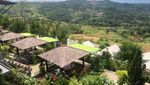Foto: Cemara Terrace, Tempat Healing Asyik di Bogor