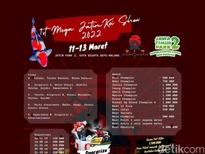 Keren, Ada Lomba Ribuan Koi Cantik Show di Wisata Jatim Park 2 Lho