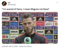 Meme Maguire ROnaldo