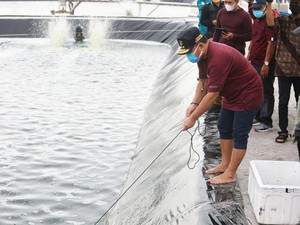 Pemprov Kalteng Siapkan Rp 85 M Bangun Kawasan Tambak Udang 40,17 Ha