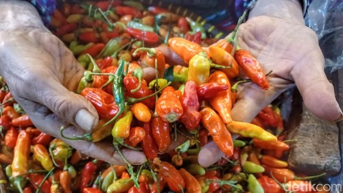 Cabai rawit.