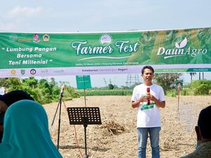 Strategi Biar Peternak dan Petani Jagung Sama-sama Untung