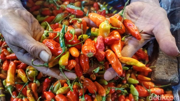 Harga Cabai Rawit di Kabupaten Bandung Semakin Pedas Menjelang bulan Ramadhan, harga cabai rawit di Kabupaten Bandung saat ini semakin pedas. Bahkan harganya bisa mencapai Rp 70 ribu per kilo gramnya.