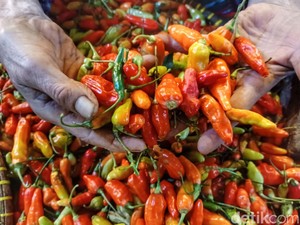 Ramadan Masih Bulan Depan, Harga Cabai di Tasikmalaya Sudah Naik 100%