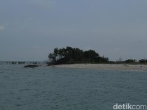 Ancam Ekologis, API Desak Pemerintah Cabut Izin PT KEI di Blok Kangean