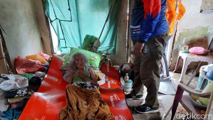 Nenek lumpuh di Jember hidup sebatang kara bersama puluhan ekor ayam