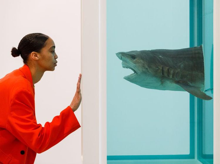 Nyeleneh Banget! Karya Seni Damien Hirst Lampaui Batas
