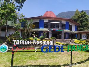 9 Pendaki Ilegal Gunung Gede Pangrango Kena Blacklist 2 Tahun