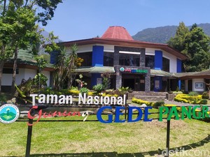 Waktu yang Pas! Gunung Gede Pangrango Dibuka Jalur Pendakiannya