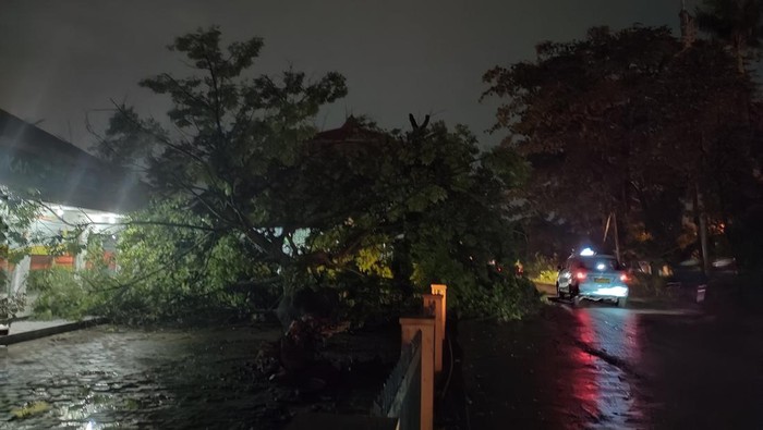 Pohon tumbang di Kantor Pos Depok, Jalan Rambutan No.1, Kecamatan Pancoran Mas